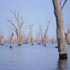 Отель Yarrawonga Hotel, фото 13