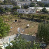 Отель Beit Ummar Hostel, фото 8