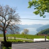 Отель Pimpisnino Brissago in Brissago, фото 18