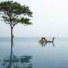 Отель V Villas Hua Hin - MGallery Hotel Collection, фото 16