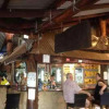 Отель Lazy Lizard Tavern and Caravan Park Cabins, фото 11