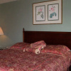 Отель Somerville Inn and Suites, фото 7