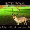 Отель Royal, фото 27