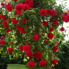 Отель Excelsior, фото 16