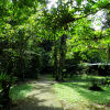 Отель La Selva Biological Station, фото 16