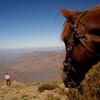 Отель Hacienda Los Andes, фото 17