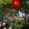 Отель Nhi Lo Home Stay, фото 26