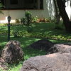Отель Bristol Cottages Kilimanjaro, фото 14
