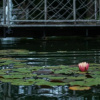 Отель Pollushof Panzió és Étterem, фото 12