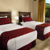 Отель Barolo Hotel, фото 13