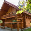Отель Mike Wiegele Resort, фото 1