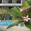 Отель The Qamar Paka, фото 20