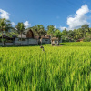 Отель Pondok Carik Villa, фото 24