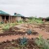 Отель WE4Kenya Guesthouses and Farm, фото 44