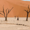 Отель The Desert Grace, фото 23