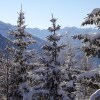 Отель Chalet l'Aiglon, фото 14