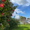 Отель Airport B&B, фото 10