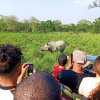 Отель Rhinoceros - Homestay, фото 25