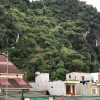Отель Phong Nha Happy Homestay - Hostel, фото 18