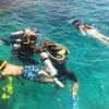 Отель Shark Bay Oasis, фото 18