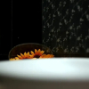 Отель Serenity Boutique Hotel, фото 12