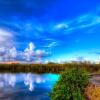 Отель OMEO Clearlake Oaks, фото 18