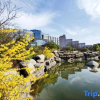Отель Sunstone Plaza Hotel, фото 10