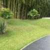 Отель Santo Bambu Hotel Campestre, фото 1