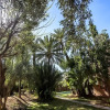 Отель Villa de Luxe Domaine des Kasbahs C5, фото 13