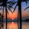 Отель Turtle Bay, фото 13