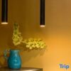 Отель DALI Cuihuajia·Tapan Qingfeng Linqi Yinluxury Treasure Courtyard, фото 4