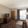 Отель Embassy Suites by Hilton Dallas Frisco Hotel & Convention Center, фото 45