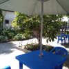 Гостиница Letniye Domiki Vacation Home, фото 2