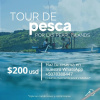 Отель Saboga Lodge and Villa Noelia, фото 46