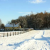 Отель Storczykowe Wzgórze, фото 8