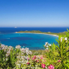 Отель Villa Plumbago 80mt From The Beach, фото 14