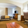 Отель Comfort Inn & Suites Oxford South, фото 5