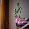 Отель Yugui Hot Spring Holiday Hotel, фото 8