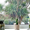 Отель Rosemary Apartments Newquay, фото 1