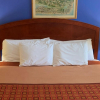 Отель Hampton Motor Inn, фото 18