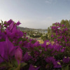 Отель Panorama Hotel Türkbükü, фото 20