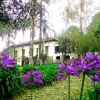 Отель Hosteria Hacienda Pinsaqui, фото 8