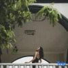 Отель Beihai Silver Beach Start Homestay, фото 7
