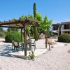 Отель Villa Oleander, фото 32