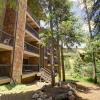 Отель Huge Ski-In Ski-Out Condo - CM116 by RedAwning, фото 36