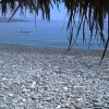 Отель Cozy Apollon Villa, Sea View, Next To Galaxidi, фото 13