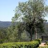 Отель Cozy Farmhouse in Herrischried with Meadows Nearby, фото 11