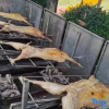 Отель Yulin Xiaozhu Homestay (Shanghai Safari Park), фото 5