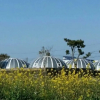 Отель Jeju Igloo Pension, фото 1