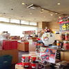 Отель Hikone View Hotel, фото 16
